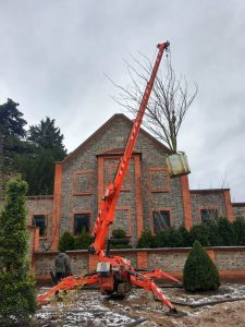 Landscaping with our compact spider crane