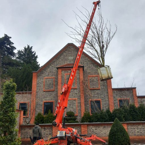 Landscaping with our compact spider crane