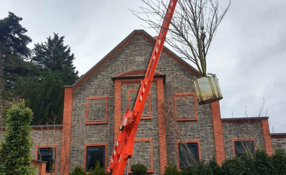 Landscaping with our compact spider crane